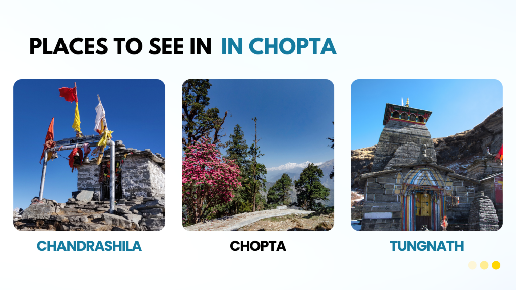 What to See in Chopta: beside Chandrashila , Chopta's Medows and Tungnath Temple and Deoriatal , the scenic views of lush green meadows, snow-capped Himalayan peaks, dense forests, and popular trekking trails.